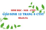 Giải Sinh 12 trang 8 Chân trời Sáng tạo